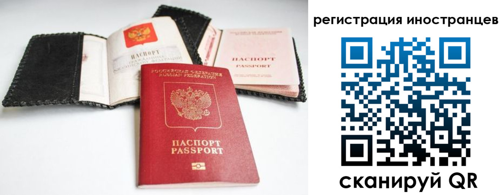 прописка гарантия в Оленегорске