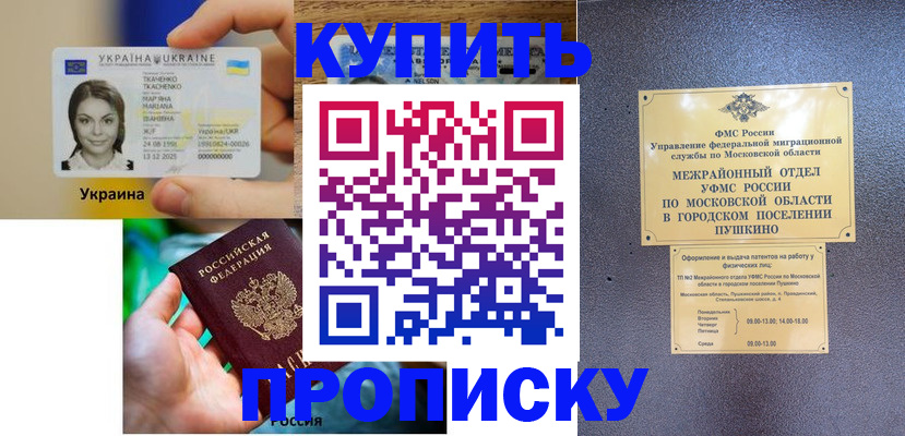 прописка законно в Оленегорске